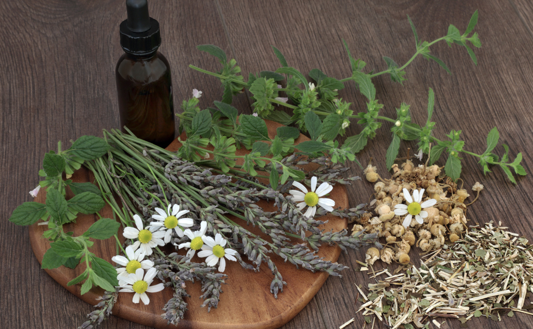 Herbal Allies Natures Remedies