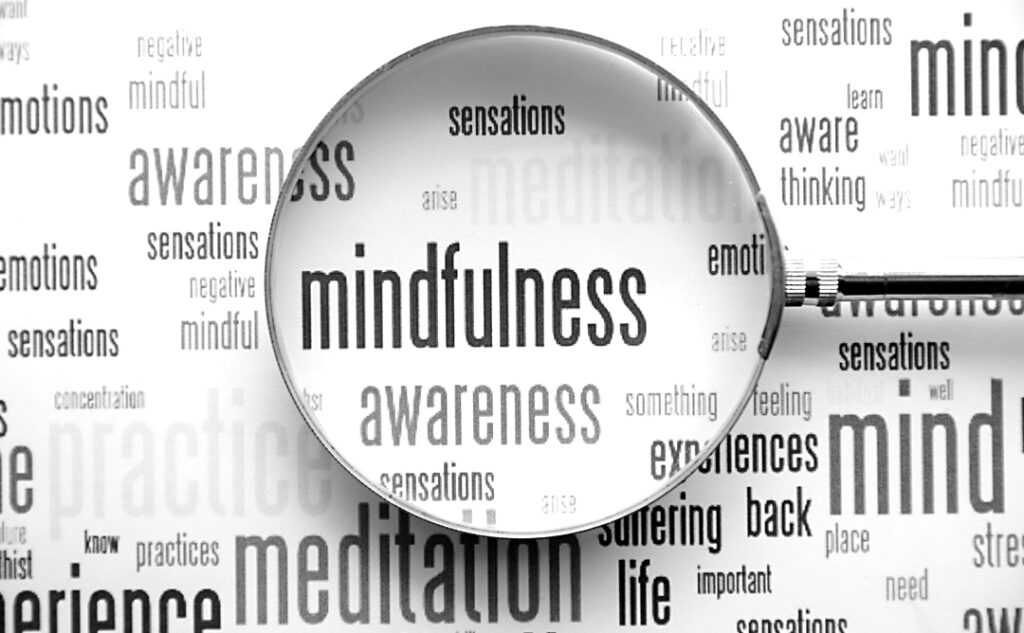 TEH The Power of Mindfulness Nurturing Awareness for a Healthy Mind Body and Spirit BLOG Image