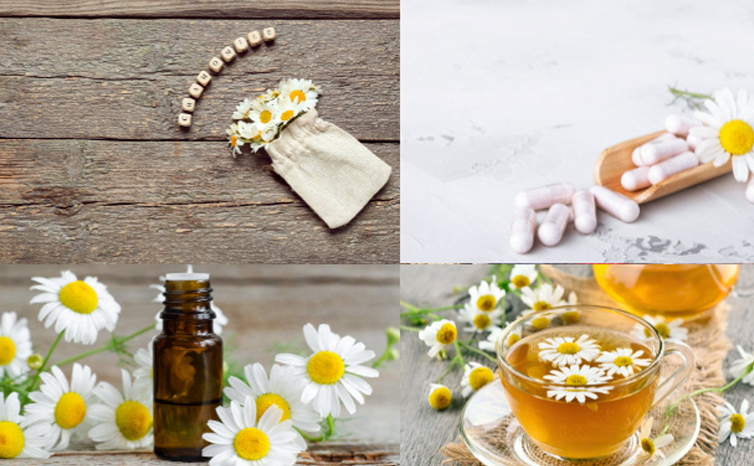 Chamomile: Nature’s Tranquil Healer