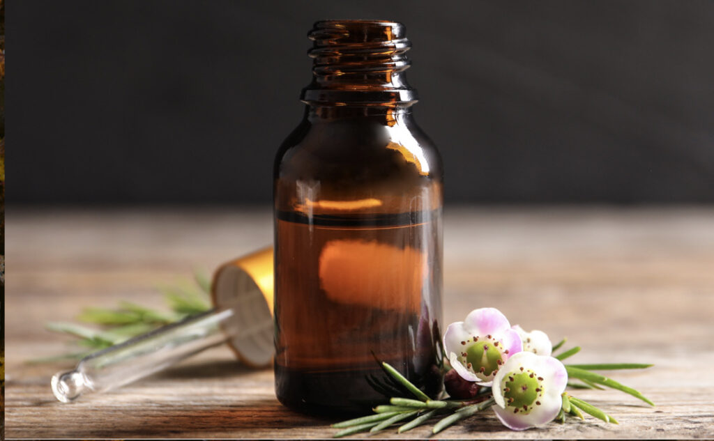 Tea Tree Oil For A Healthy Scalp