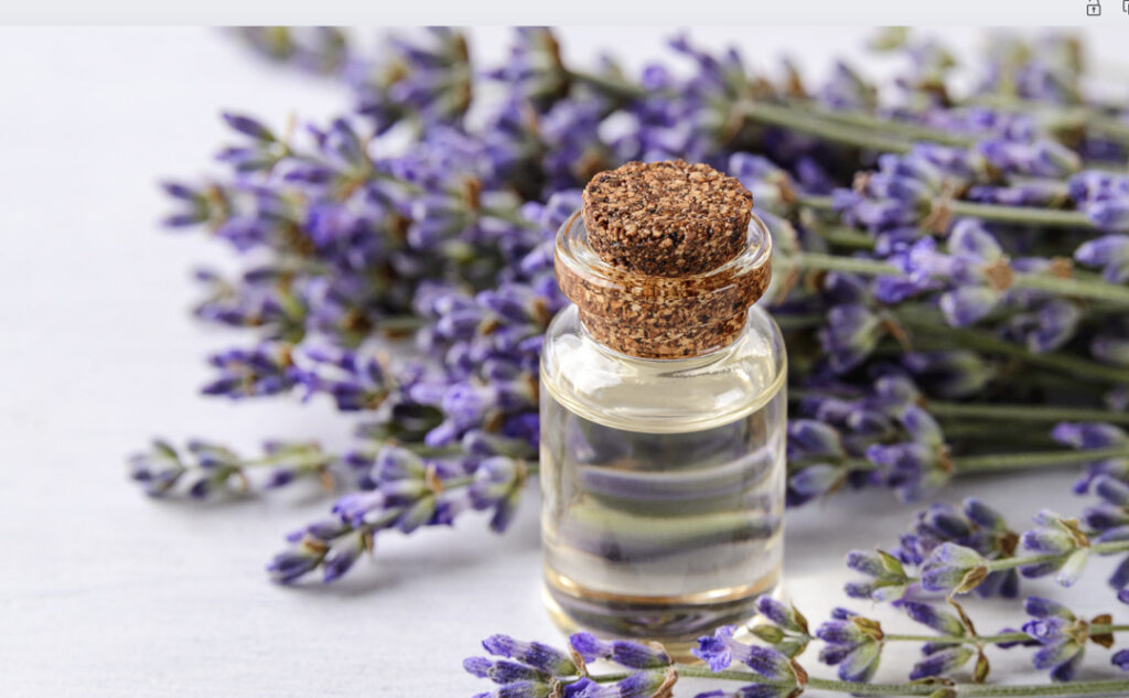 Embracing Natural Serenity: Lavender Oil vs. Medication for Sleep and Relaxation