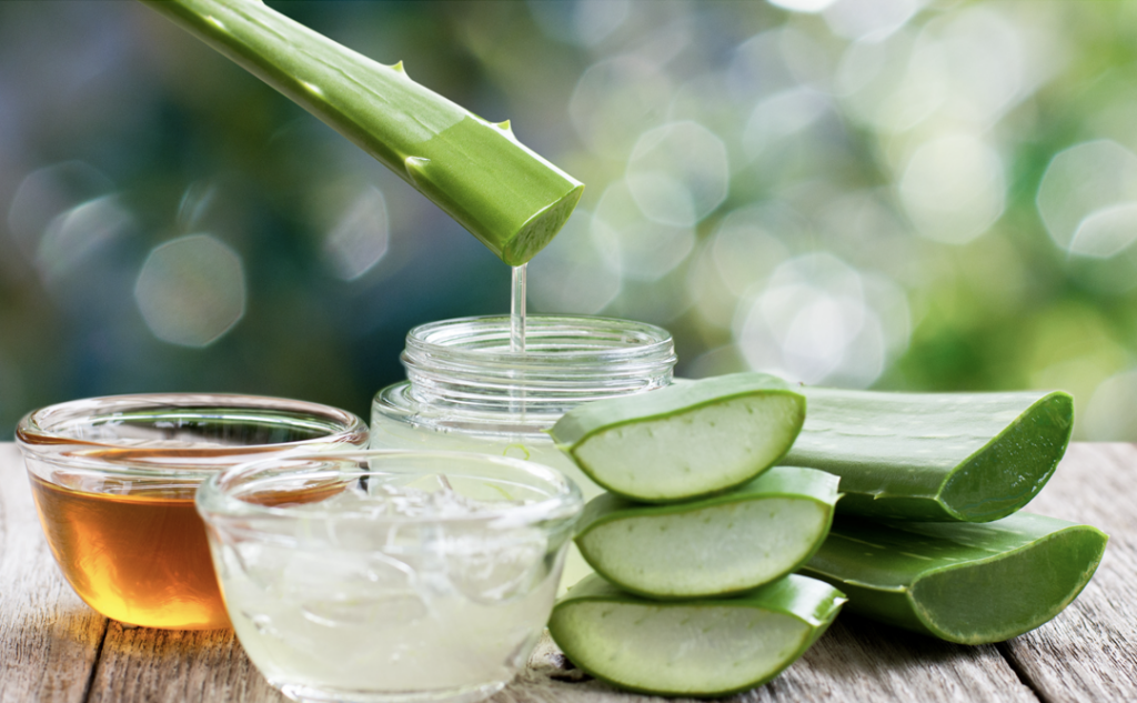 Aloe Vera for Facial Skin: A Natural Healing Wonder